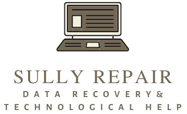 Sully Repair